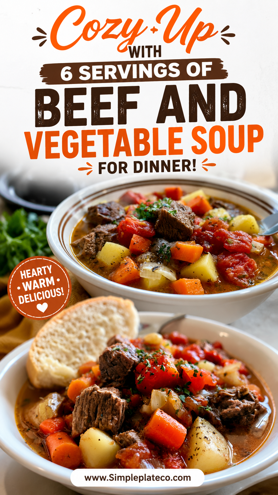 Beef and Vegetable Crockpot Soup