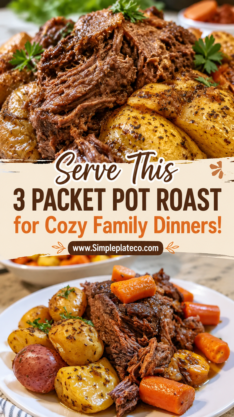 Crock Pot 3 Packet Pot Roast
