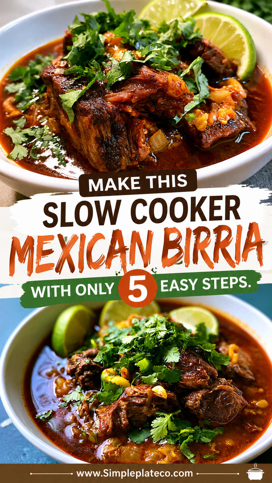 Slow Cooker Mexican Birria