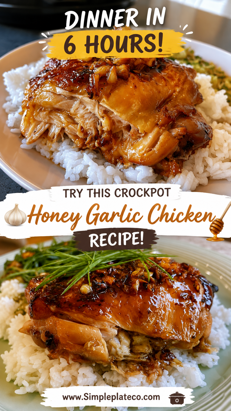 crockpot honey garlic chicken