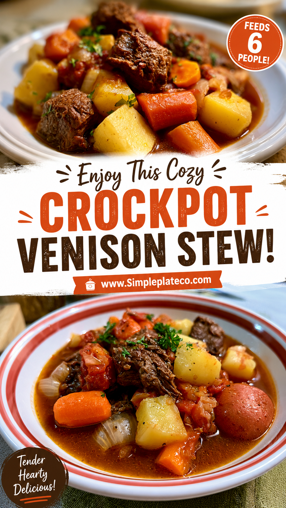 crockpot venison stew